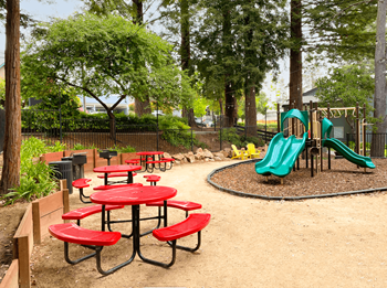 Bbq & picnic area